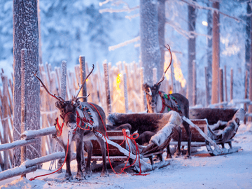 laplandiya_finlyandia